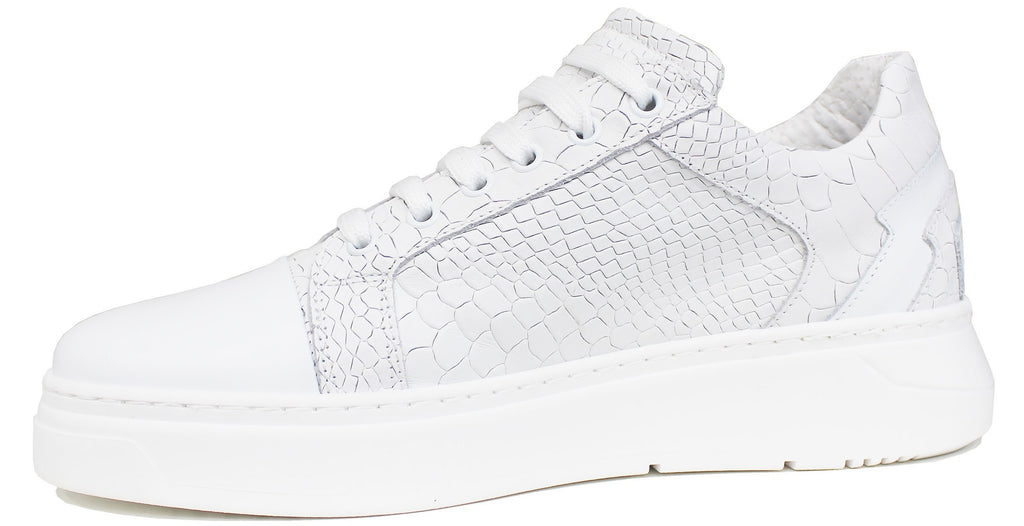 Sneakers Vera Pelle - Comfort e Stile Made in Italy Sneakers Vera Pelle - Comfort e Stile Made in Italy